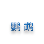 鹦鹉